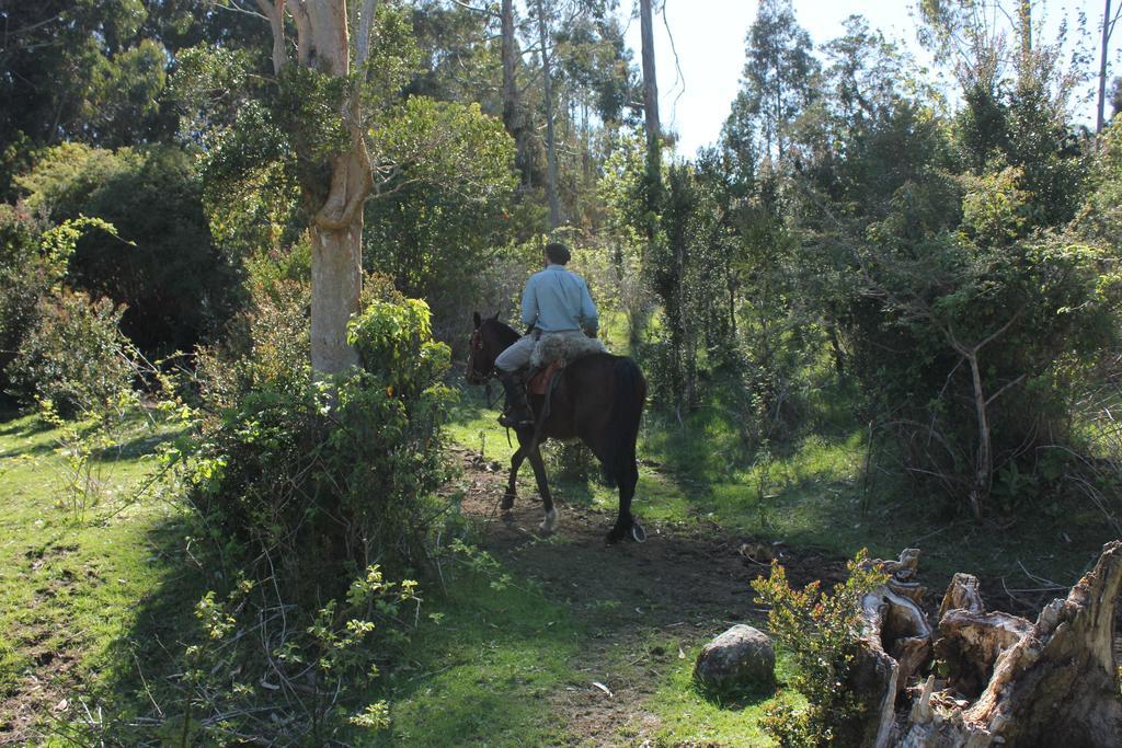 Refugio Pullao Quilquico Exterior foto